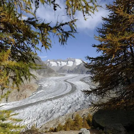 Διαμέρισμα Toggi Eg Bettmeralp
