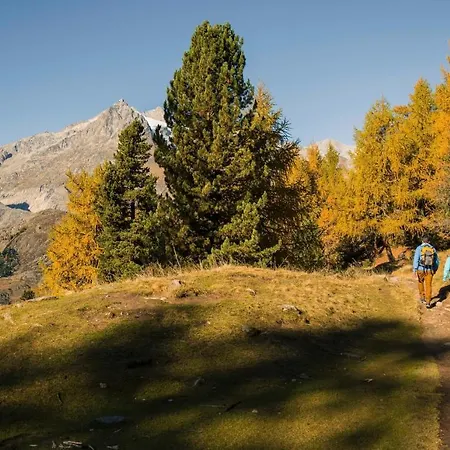 Toggi Eg بيتميرلاب