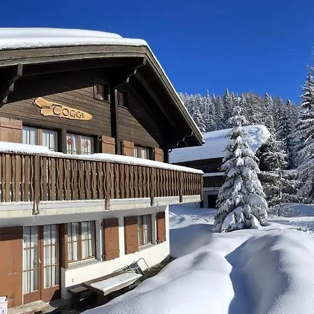 Toggi Eg Bettmeralp