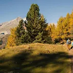 Toggi Eg Bettmeralp