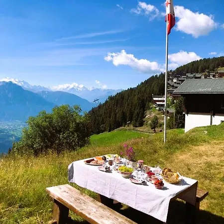 Apartmán Toggi Eg Bettmeralp