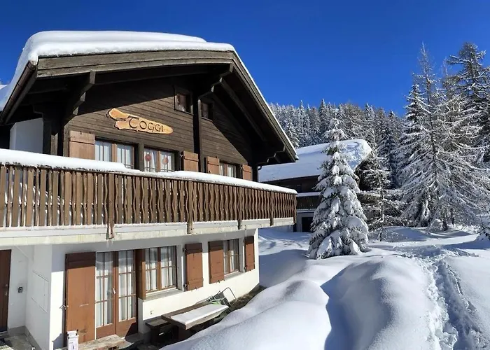 Toggi Eg Bettmeralp