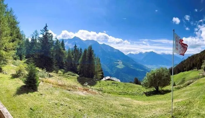 Toggi Eg