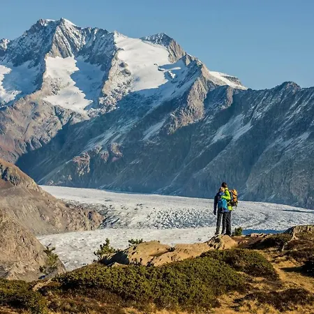 Toggi Eg Apartment Bettmeralp